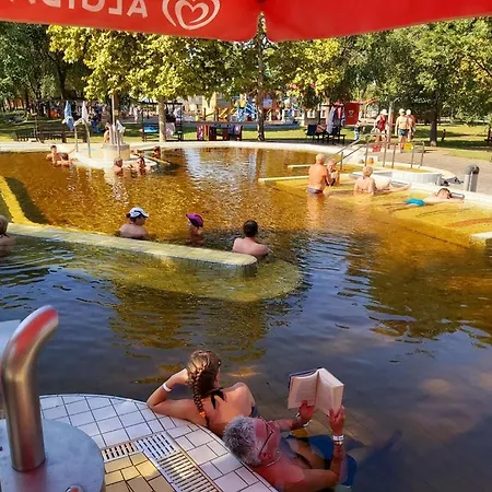Solaris Garden *